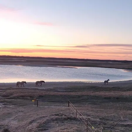 In Texel By Dunes And Water De Cocksdorp (Texel)
