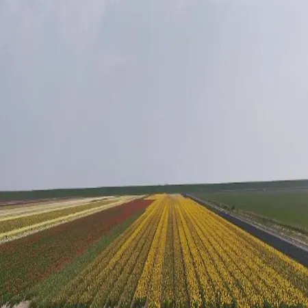 In Texel By Dunes And Water Holiday home *