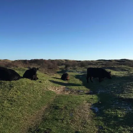 In Texel By Dunes And Water Holiday home De Cocksdorp (Texel)