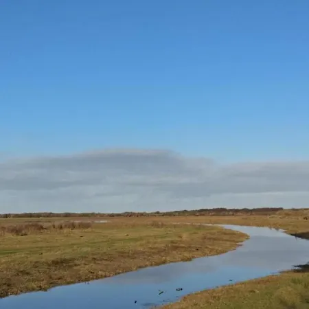 Holiday home In Texel By Dunes And Water *
