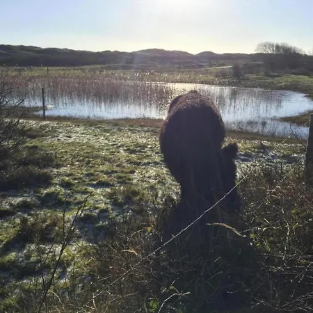In Texel By Dunes And Water Holiday home *