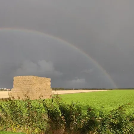 Holiday home In Texel By Dunes And Water De Cocksdorp (Texel)