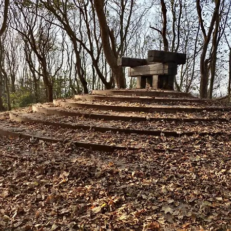 Holiday home In Texel By Dunes And Water