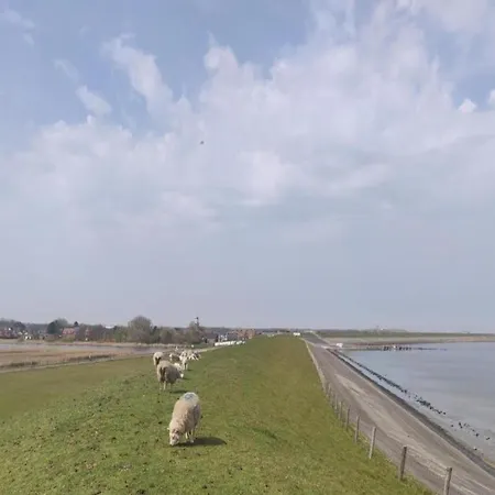 Holiday home In Texel By Dunes And Water *