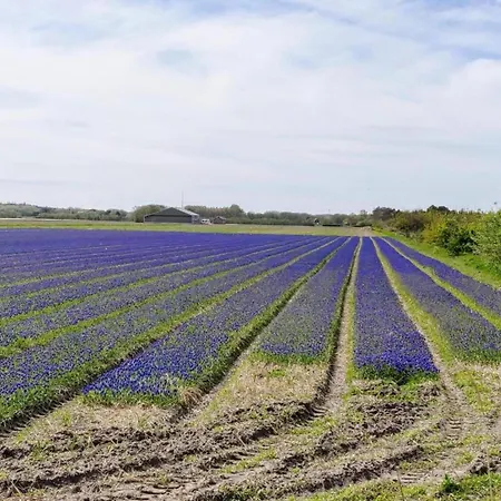 In Texel By Dunes And Water Holiday home *